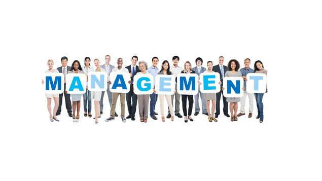 management transversal