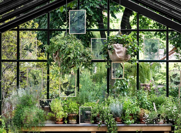 FLOATING-LEAVES-journaldudesign-06-tt-width-620-height-457-lazyload-0-crop-1-bgcolor-000000-except_gif-1