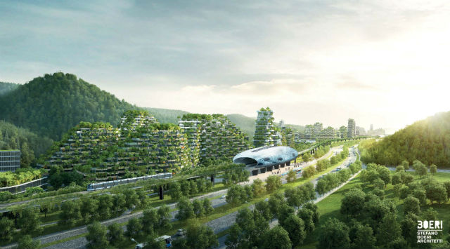 forest_city_1
